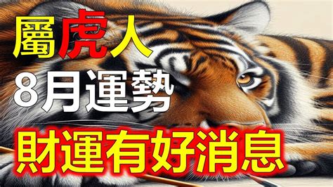 屬虎本月運勢|屬虎人2024年總運勢，屬虎人的愛情，事業運勢，屬虎人2024年。